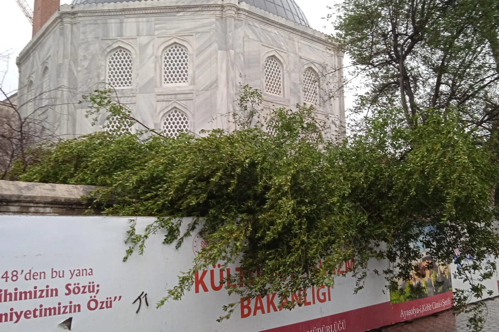 Ayasofya Camii’nde minare alem düştü! Bahçedeki ağaç kontrol altında