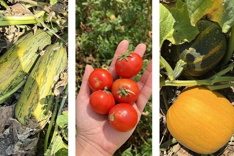 Balıkesir’de ‘ümit var’ sayısı 84’e yükseldi