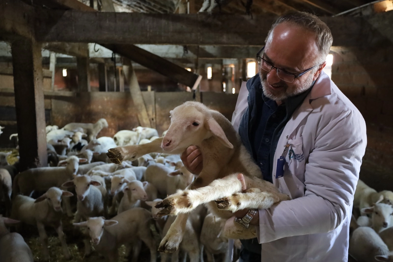 Kocaeli’de 2025 ‘çiftçinin yılı’ oldu… 166 milyon TL destek sağlandı