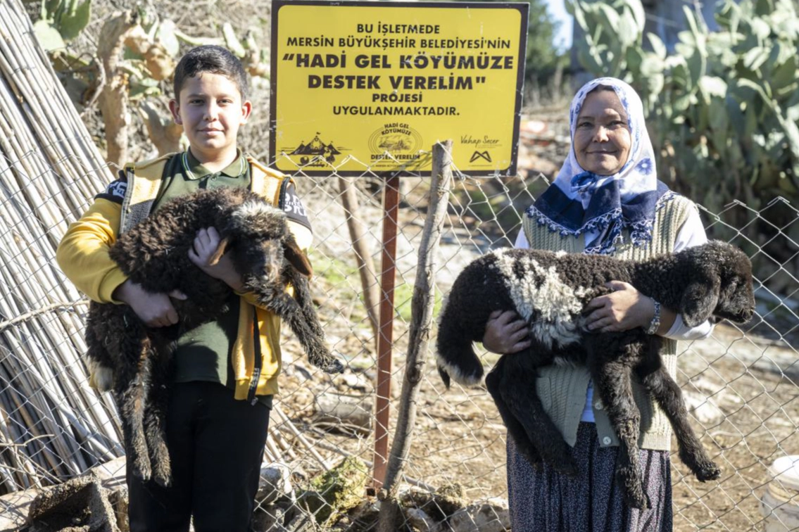 Mersin Büyükşehir’den Kırsal Kalkınmaya Dev Destek: Binlerce Küçükbaş Hayvan Dağıtıldı