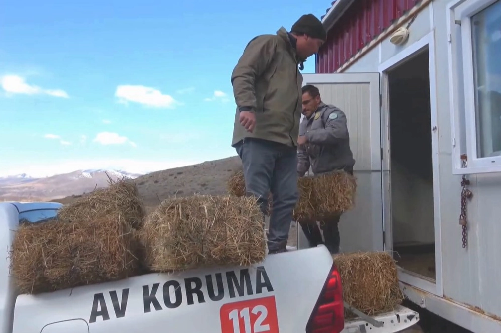 Niğde Demirkazık’ta yaban hayatına kış desteği