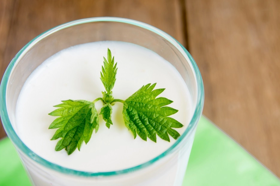 Ramazan’da susuz kalmayın… Süt ve ayran hidrasyonun gizli kahramanları