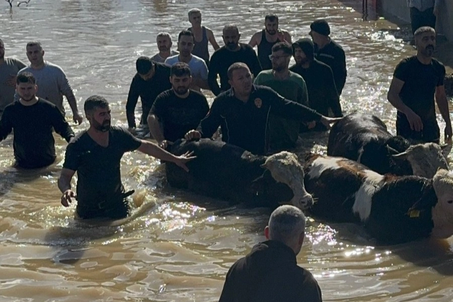 Manisa’da sel sefeberliği… 44 vatandaş ve 127 hayvan tahliye edildi