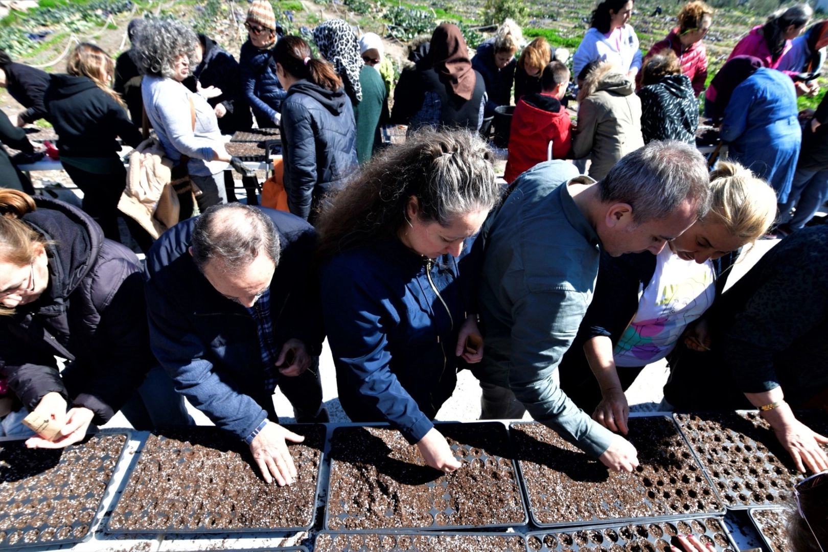 Bornova’da Kadın Üreticiler Yerel Tohumlarla Yaz Sezonuna Hazır: Kent Bostanları Büyüyor, Kadın Katılımı Artıyor