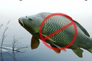 Adana’da Sazangiller İçin Av Yasağı Başladı: 31 Mayıs’a Kadar Sürdürülecek