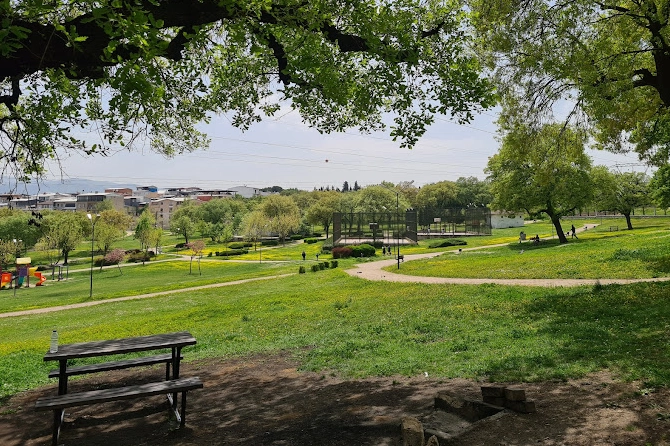 Bursa’da Yeşil Alan Yenileniyor: Hamitler Mesire Alanı 3 Ay Boyunca Ziyaretçi Kabul Etmeyecek