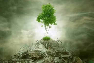 ÇED “Gerekli Değil” Kararı Tarih Oluyor: Yeni Yönetmelik Proje Süreçlerini Kökten Değiştiriyor