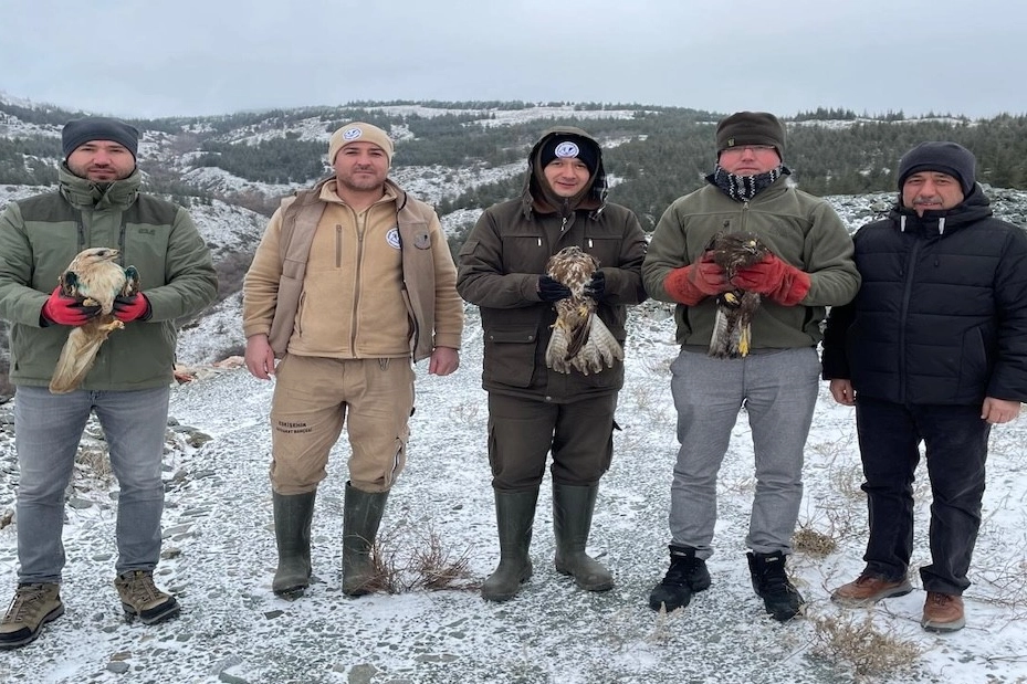 Eskişehir’de Umut Dolu Anlar: Tedavi Edilen Yırtıcı Kuşlar Doğaya Yeniden Kanat Çırptı