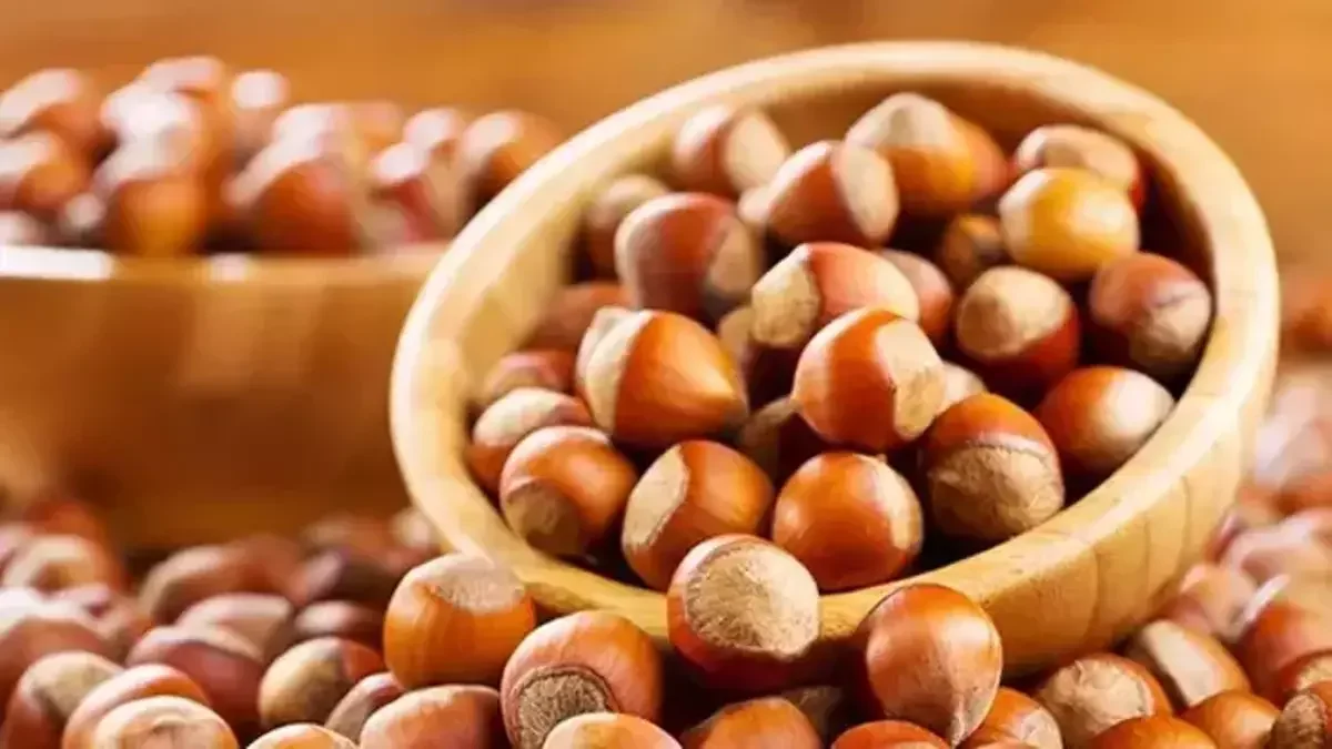 Giresun Fındığı TasteAtlas Listesinde Zirveye Ortak Oldu: Dünya İkinciliğiyle Taçlandı