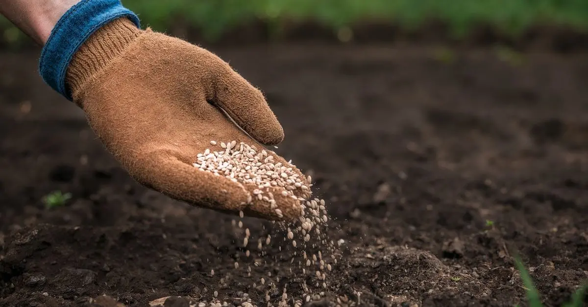 Tarım ve Orman Bakanlığı’ndan Gübre Krizi İddialarına Net Yanıt: Tedarik Sorunu Yok