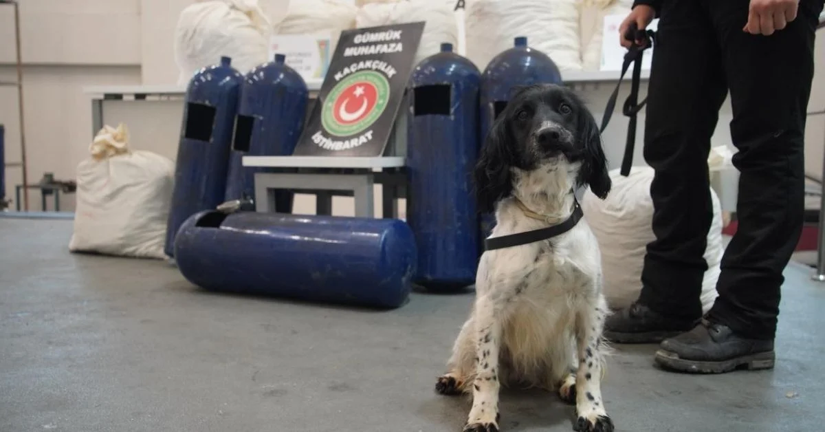 İpsala Gümrüğü’nde Nefes Kesen Operasyon: Hassas Burunlar 35 Kilo Uyuşturucu Yakaladı