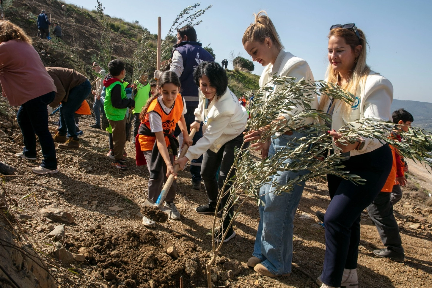 Güzelbahçe’de Minik Ellerden 1000 Zeytin Fidanı Toprakla Buluştu: Yeşil Miras Büyüyor