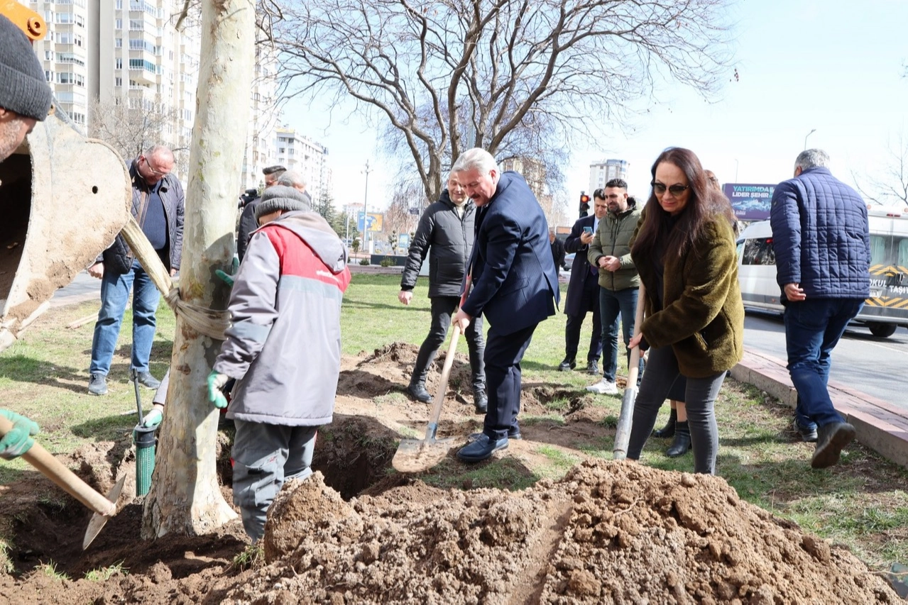 Melikgazi’de Bahar Coşkusu: Dev Çınarlar Toprakla Buluştu, Yeşil Alanlar Büyüyor