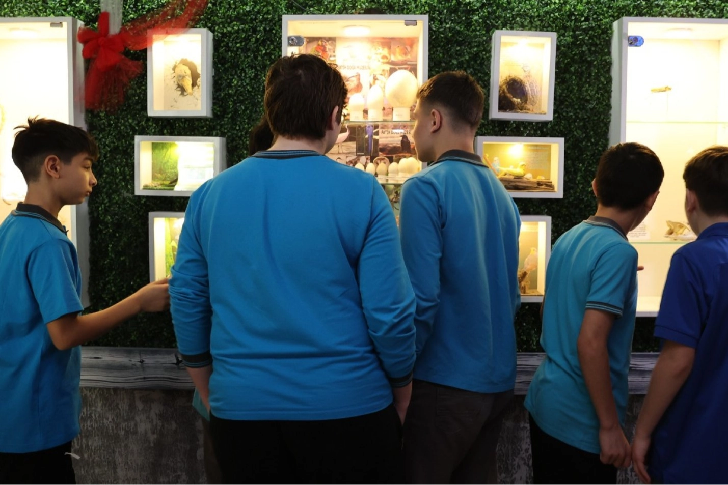 Samsun Fatih Ortaokulu’nda Öğrenciler Hayata Geçirdi: Doğayla Buluşma Noktası ‘Doğa Müzesi’