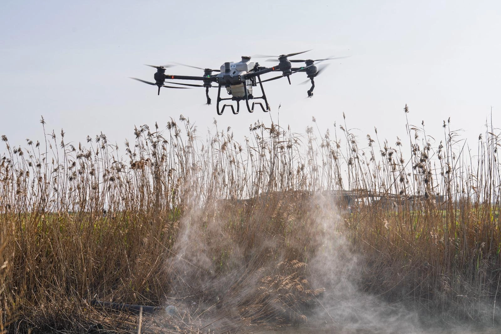 İzmir’den Teknolojiyle Sivrisinek ve Zararlılara Karşı Kapsamlı Mücadele