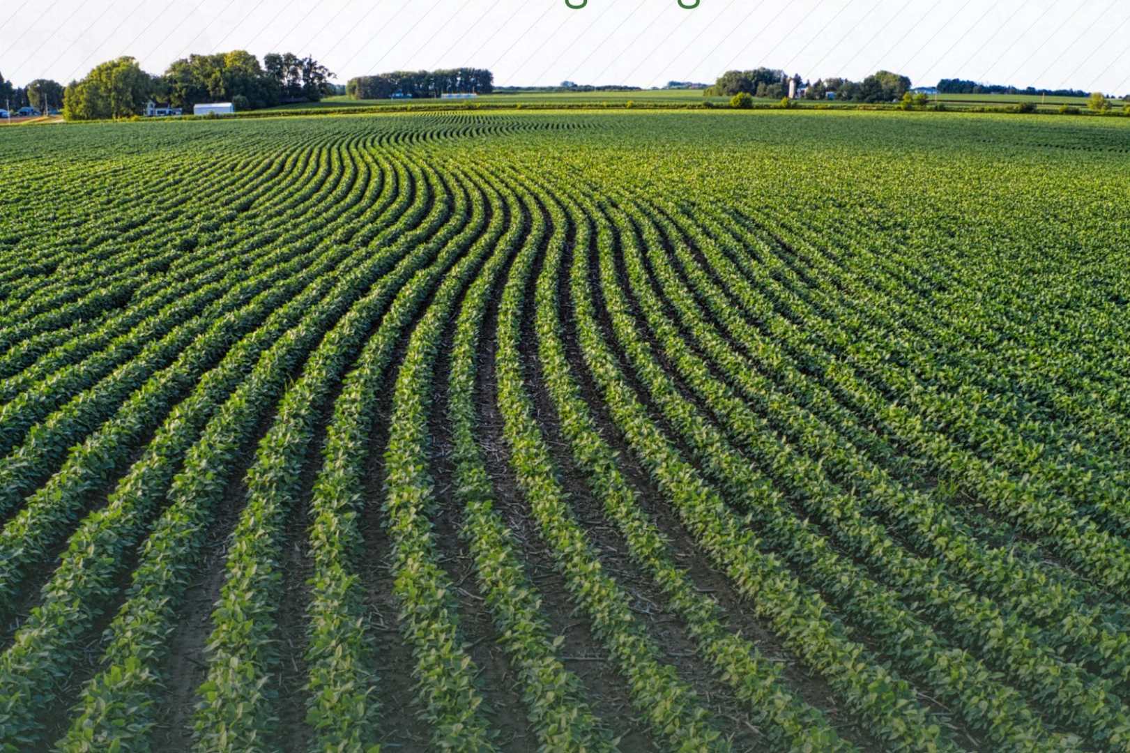 1 Ocak 2026’dan İtibaren Tarım Arazileri İçin Cömert Hibe Desteği Başlıyor