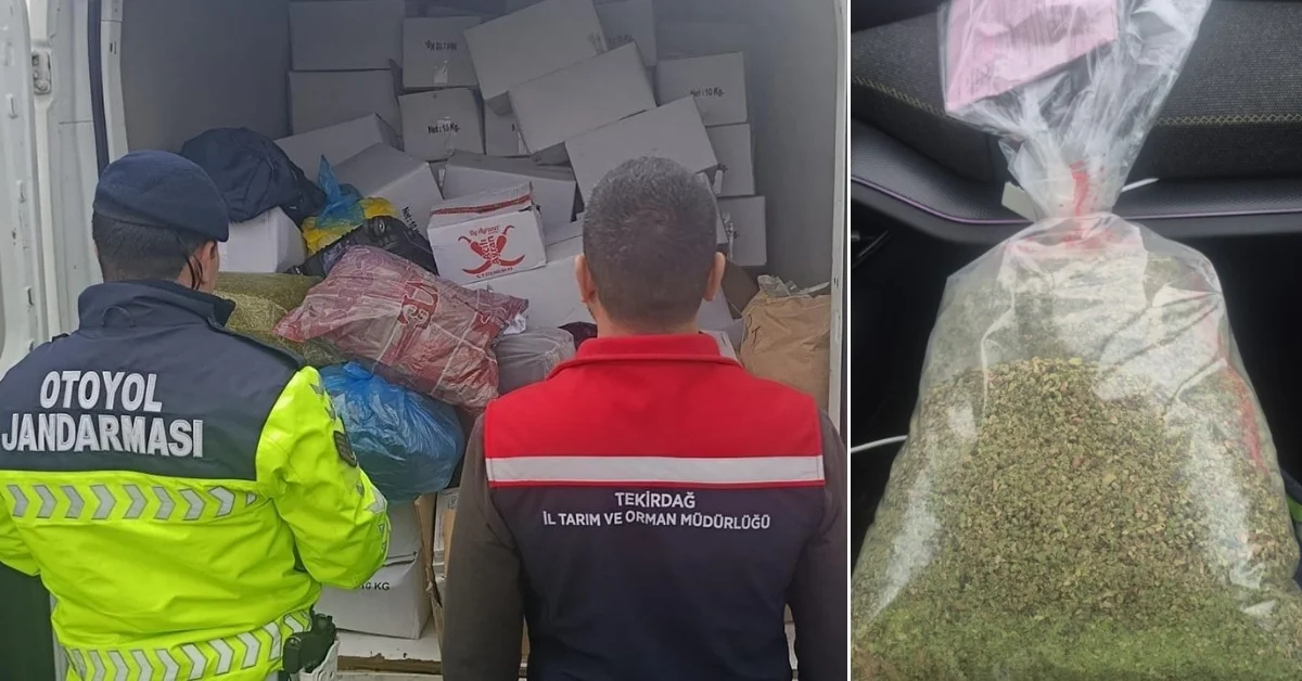Tekirdağ’da 2 Ton Sağlıksız Antep Fıstığı Ele Geçirildi: Ürünler İmha Edildi, Cezalar Kesildi