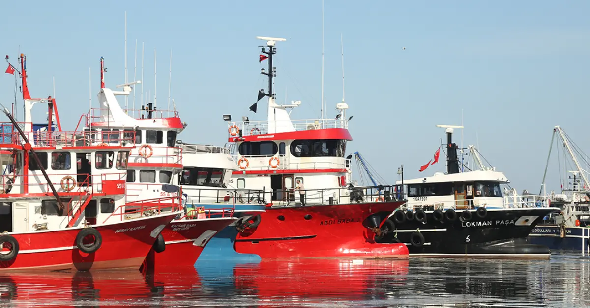 Balıkçılık Sezonu Hüsranla Kapandı: Hamsi Dışı Avlarda Büyük Düşüş Yaşandı