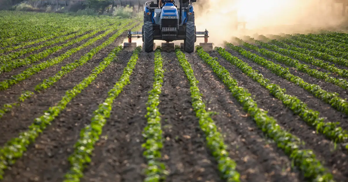 Türkiye’de 38 Yılın Rekoru Kırıldı: Yağışlar Çiftçiye Umut Oldu