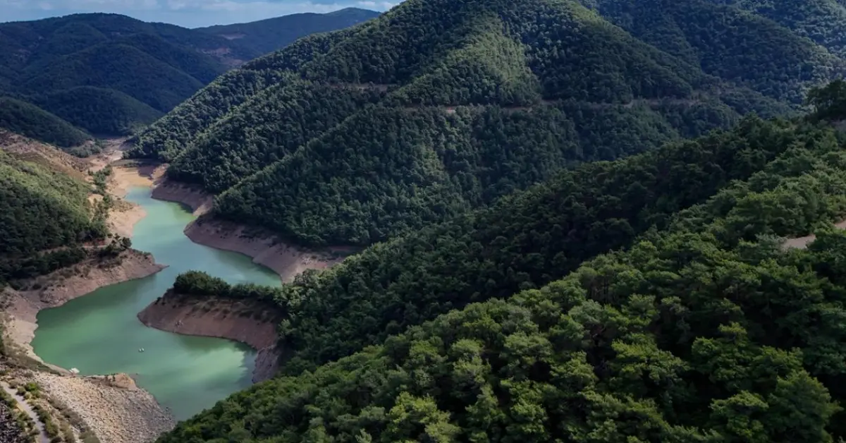 Yaz Geliyor! Kocaeli’nde Ormanlara Giriş Yasaklandı: Ateş Yakmak ve Piknik Yapmak Yasak Mı?