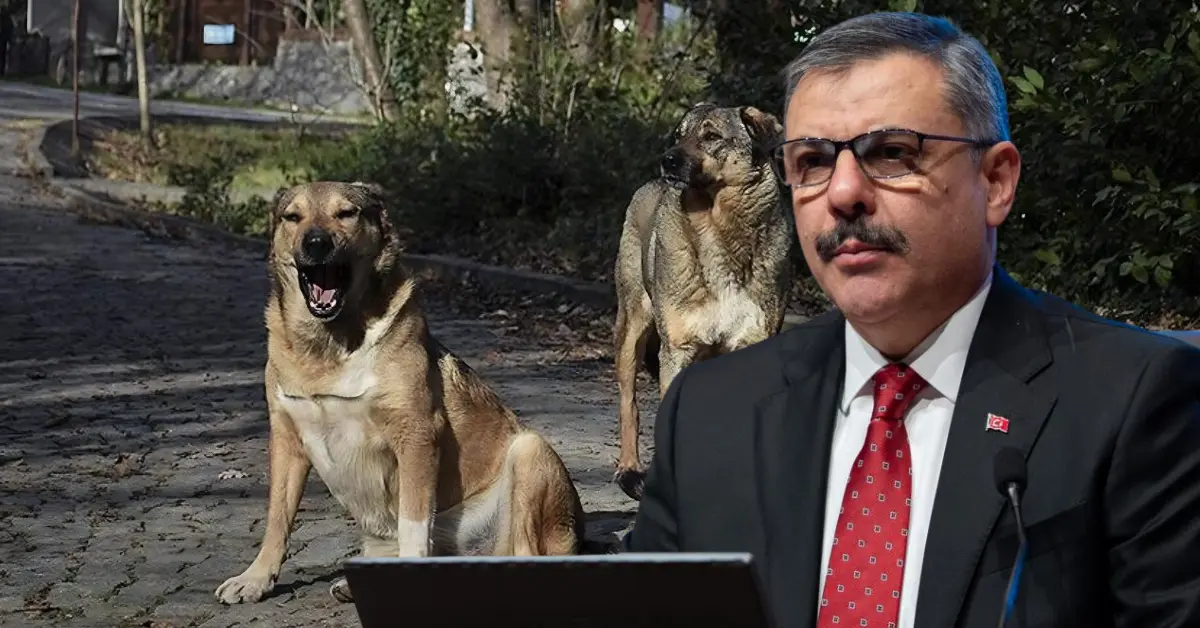 Bakan Çiftçi’den Önemli Açıklamalar: Sokak Hayvanlarının ‘i Toplandı, Trafik İhlalleri Azaldı, 2026 Organize Suçla Mücadele Yılı İlan Edildi
