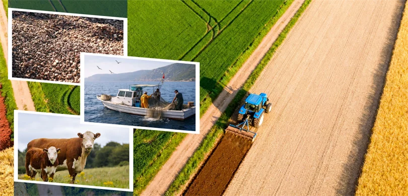 Çiftçilere Müjde: 3.7 Milyar TL’lik Tarımsal Destek Ödemeleri Hesaplara Yatıyor