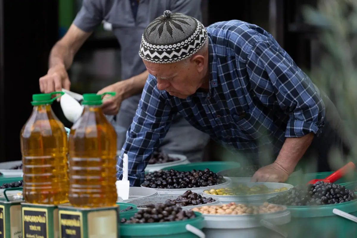 Tirilye Zeytin Çiçeği Festivali’ne Yoğun İlgi: Kültür ve Turizm Buluşması