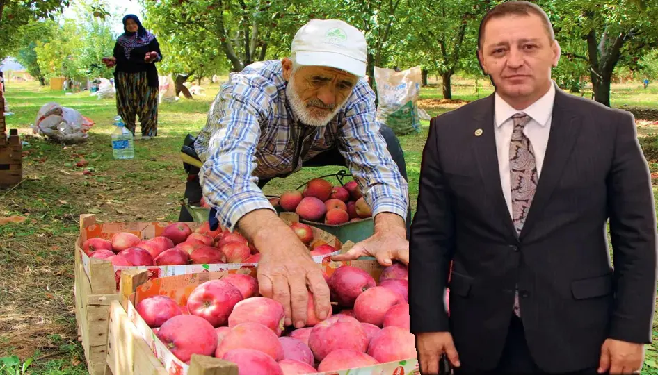 Isparta’da Üreticinin Kabusu: 50 Bin Ton Elma Depolarda Çürüyor, Çiftçi Perişan!