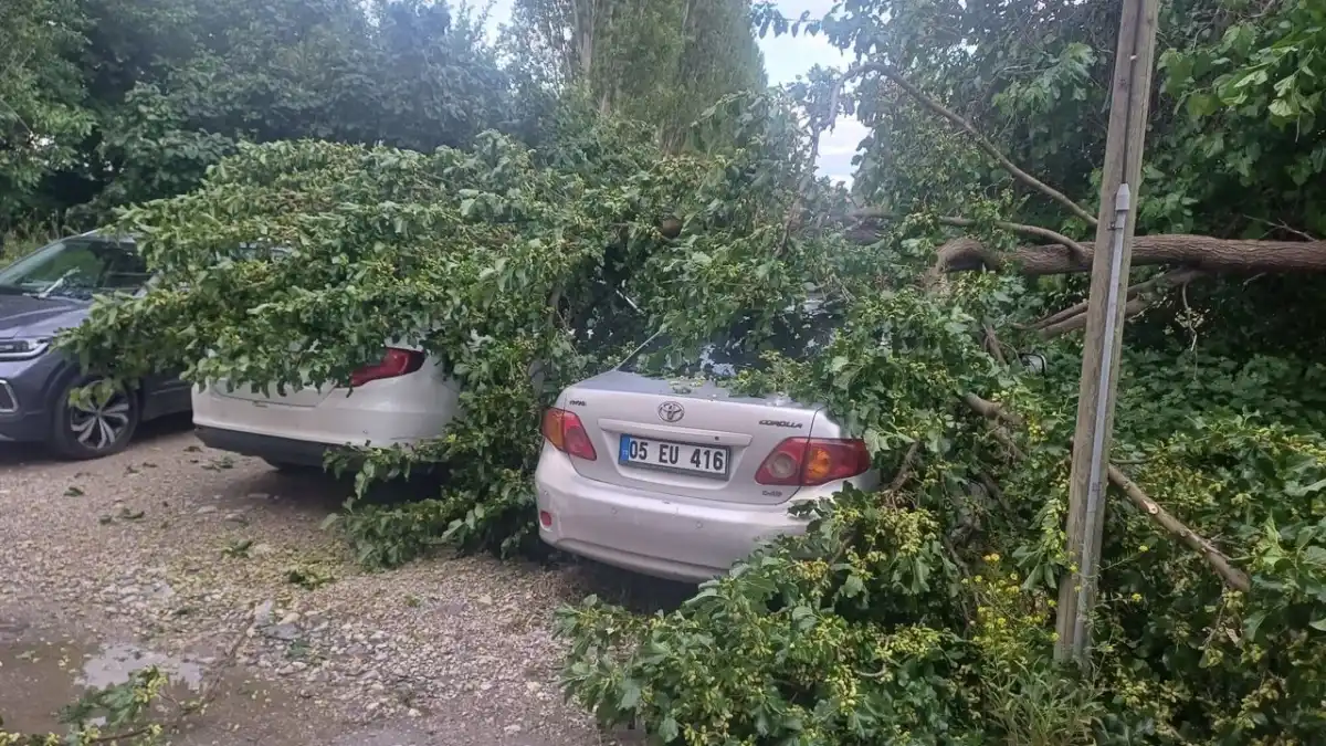 Çorum’da Şiddetli Yağış Hayatı Felç Etti: Ağaç Devrildi, Araçlar Hasar Gördü