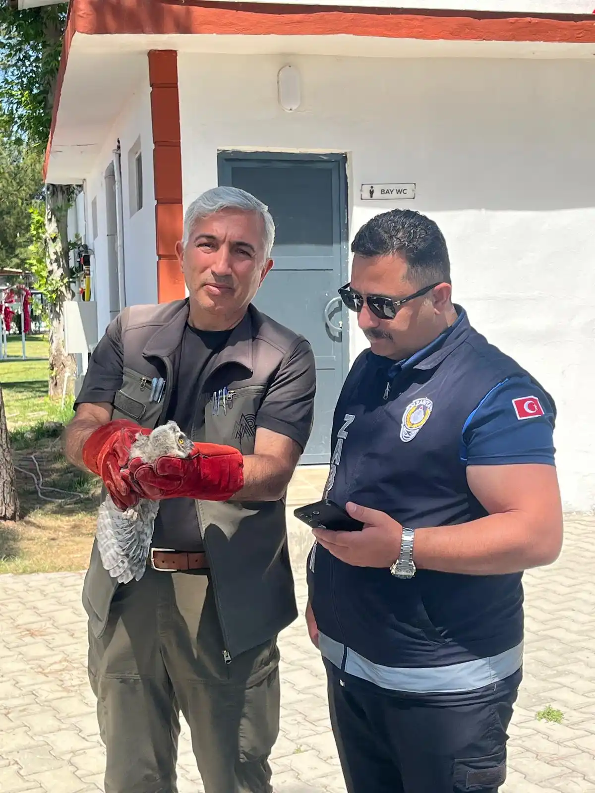 Battalgazi’de Duyarlılık: Yavru Baykuş Güvenli Ellerde