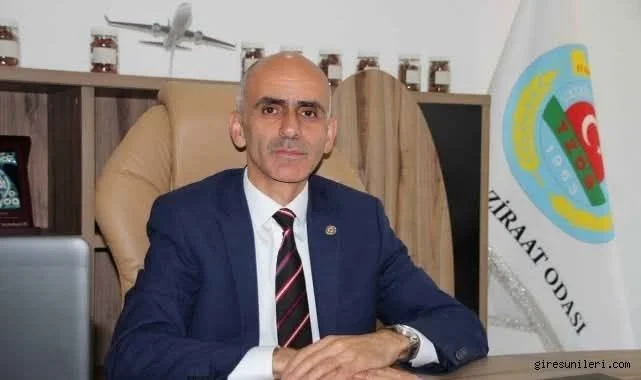 Fındık Üreticisi Ekonomik Çöküşte: Maliyetler Tavan, Fiyatlar Dibi Gördü