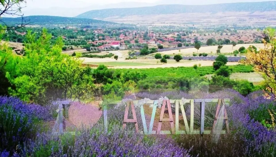 Isparta’nın Mor Cenneti Kuyucak’ta Lavanta Sezonu Açıldı: Göz Kamaştıran Tarlalar Ziyaretçi Akınına Uğruyor