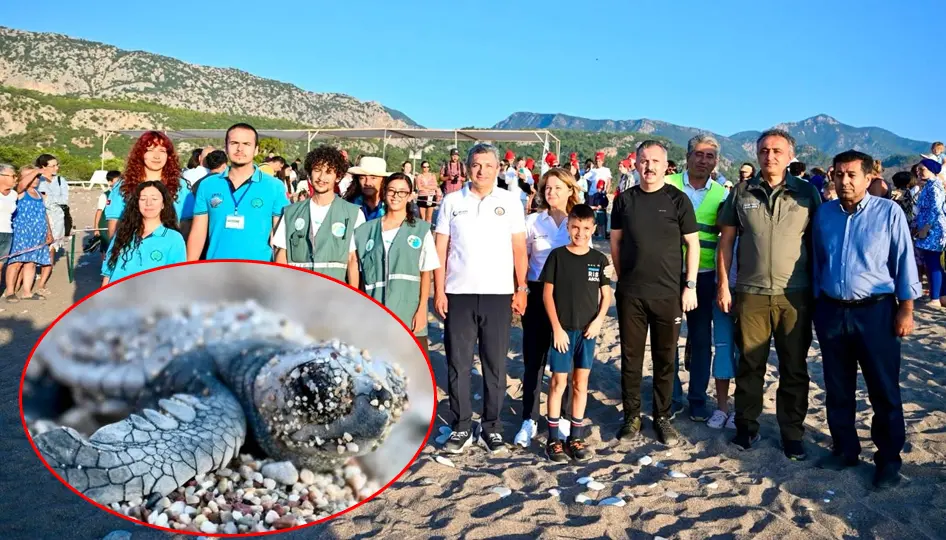 Caretta Caretta Yavruları Güvenle Denizle Buluştu: Antalya’da Çevre Bilinci Vurgusu