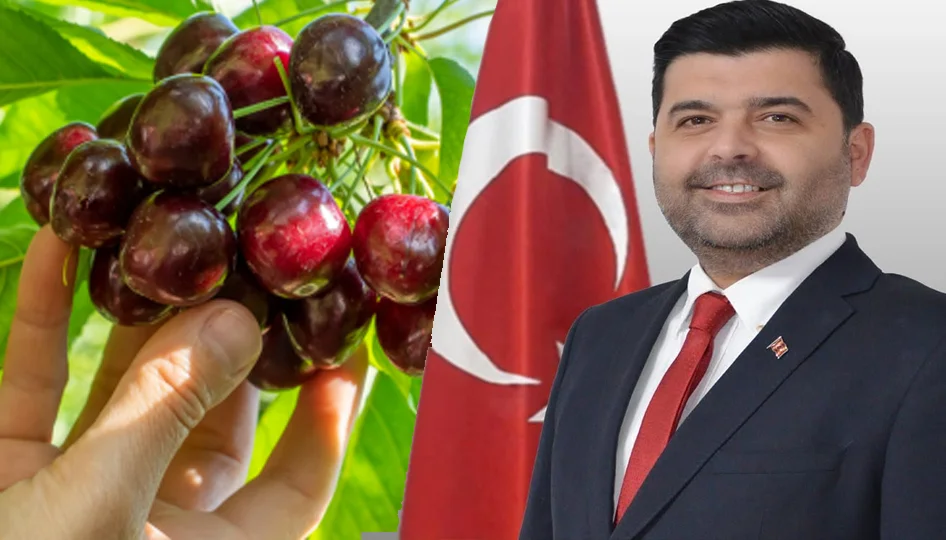 Uluborlu’da Kiraz Üreticisine Can Suyu: Suluk Kiraza Kilogram Başına 28 TL Alım Garantisi