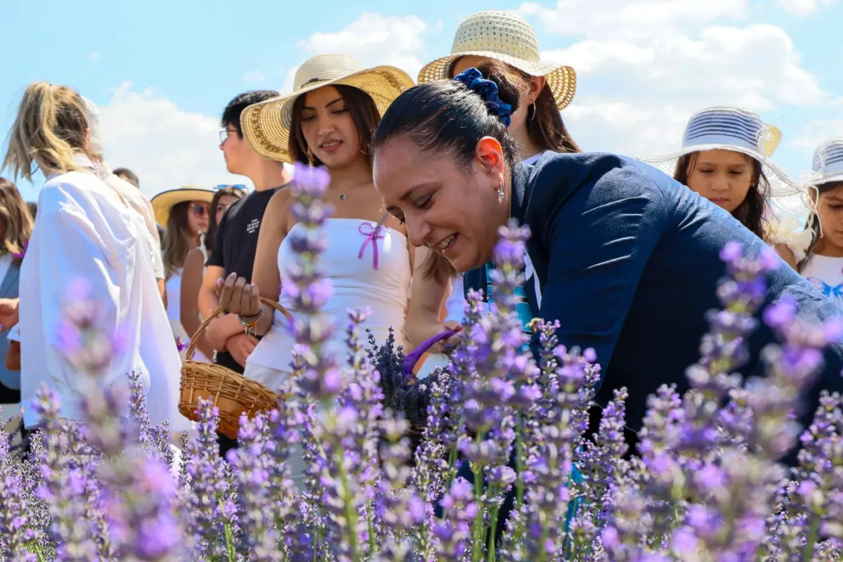 Burdur’da Lavanta Günleri Sona Erdi: Renkli Hasat ve Üretim Atölyeleriyle Unutulmaz Anlar Yaşandı