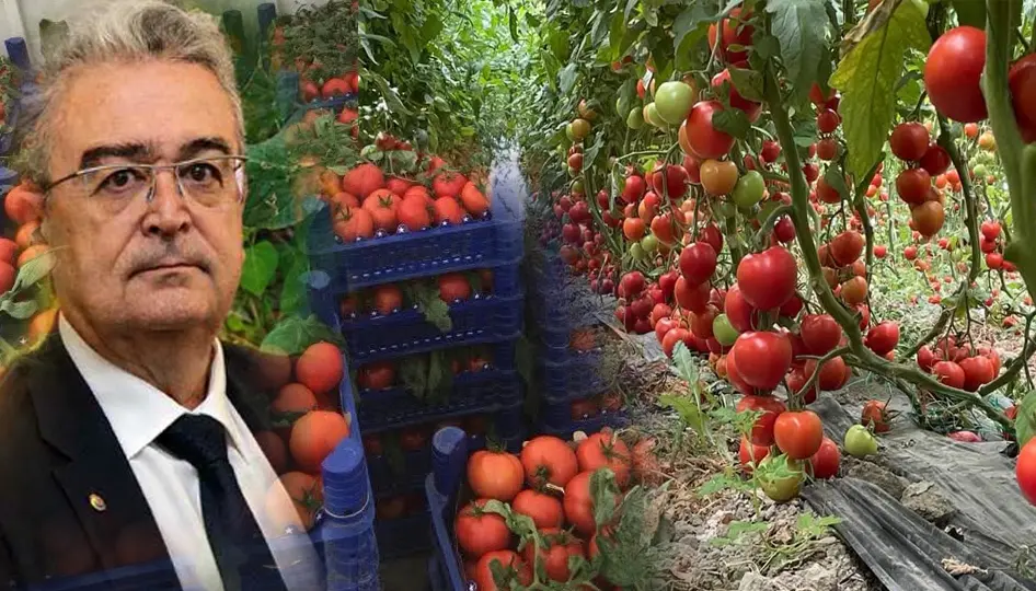Burdur Ticaret Borsası Başkanı Gündüzalp’ten Tefenni’de Üreticiye Çağrı: “Üretim Olmazsa Ticaret de Olmaz!”