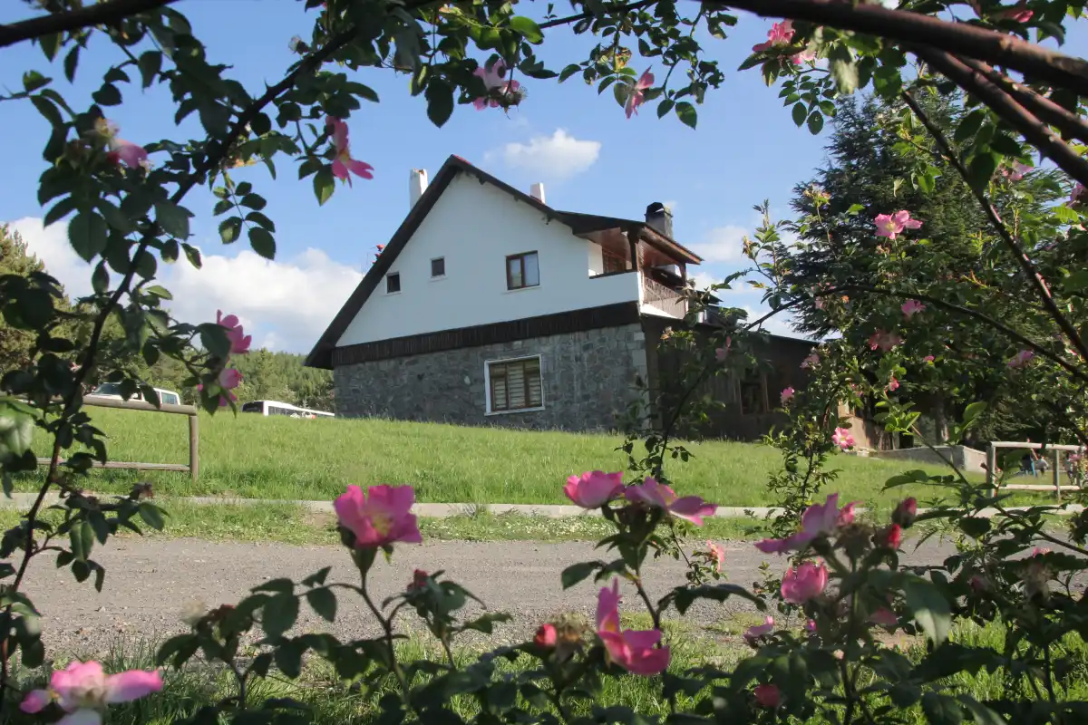 Karagöl Mesire Alanı’nda Yeni Dönem: Piknik ve Kamp Kuralları Güncellendi