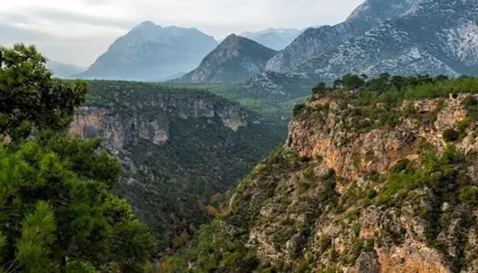 Antalya Orman Başkenti: 11,7 Milyon Dönümlük Yeşil Miras Yangınlara Karşı Sıkı Korunuyor