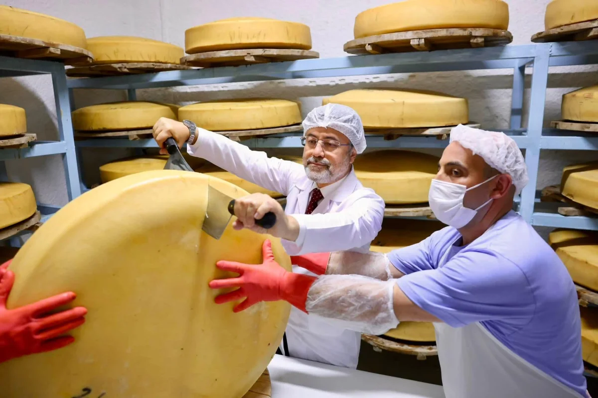 Bakan Yumaklı Kars’ta: Gravyer ve Kaşar Üretiminde Dünya Standartları İncelendi