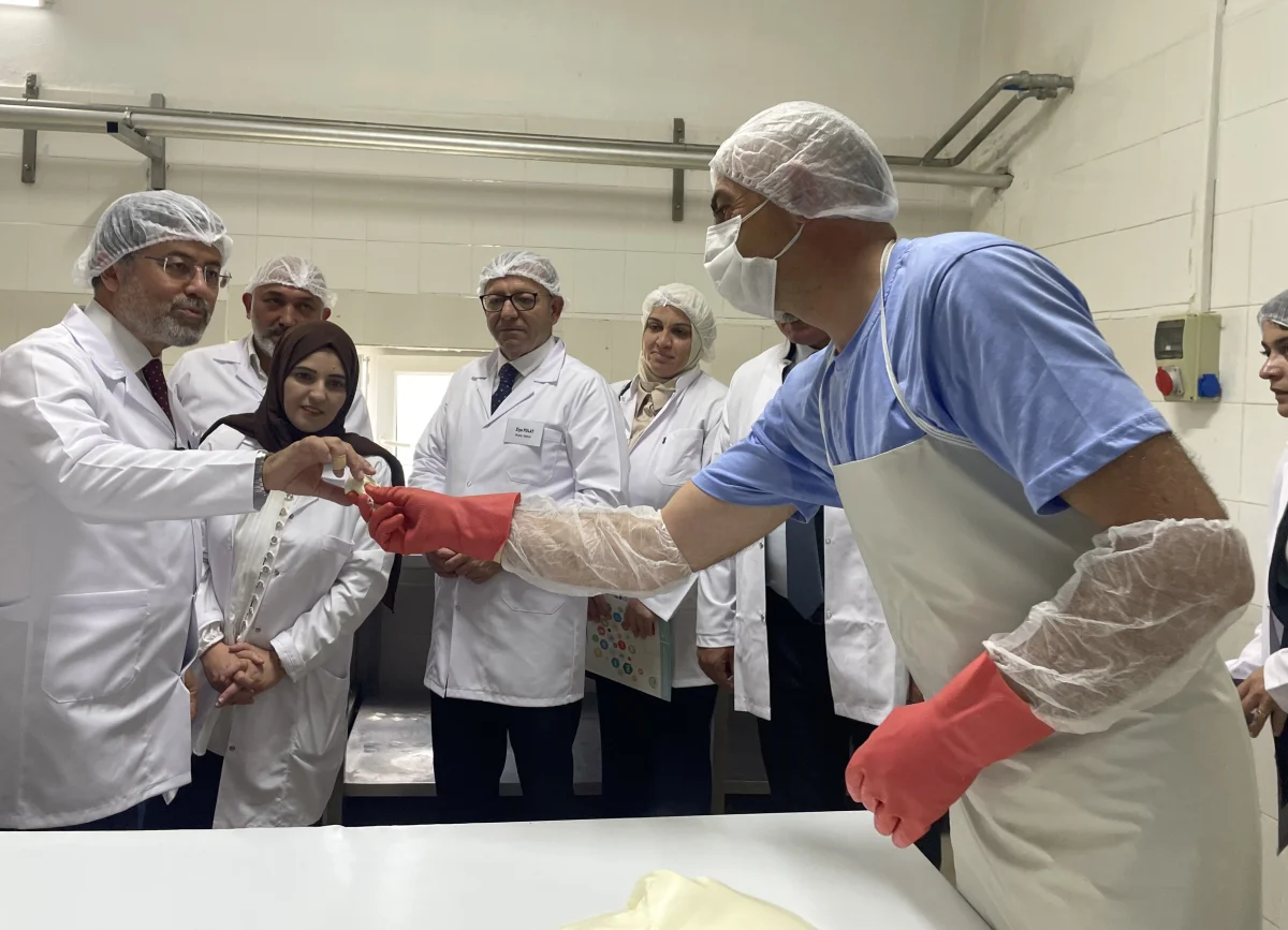 Bakan Yumaklı Kars’ta Süt Üretimini İnceledi: Kars Kaşarı’nın Önemi Vurgulandı