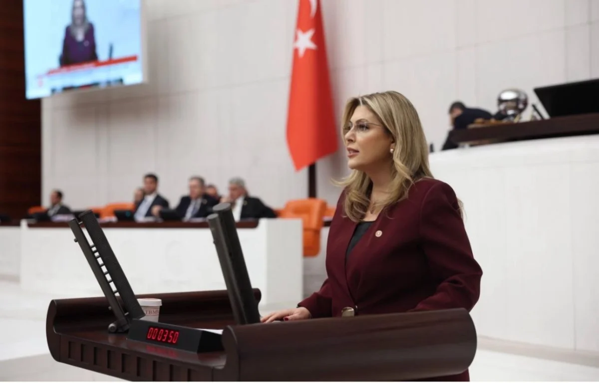 Elvan Işık Gezmiş’ten Acil Çağrı: Giresun’un Güney Çevre Yolu Projesi Artık Ertelenemez!