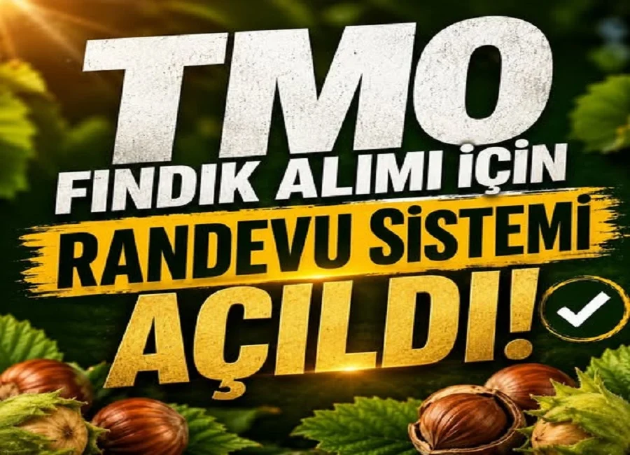 TMO Fındık Alımları Başlıyor: Randevu Sistemi Açıldı, Fiyatlar ve Detaylar Açıklandı