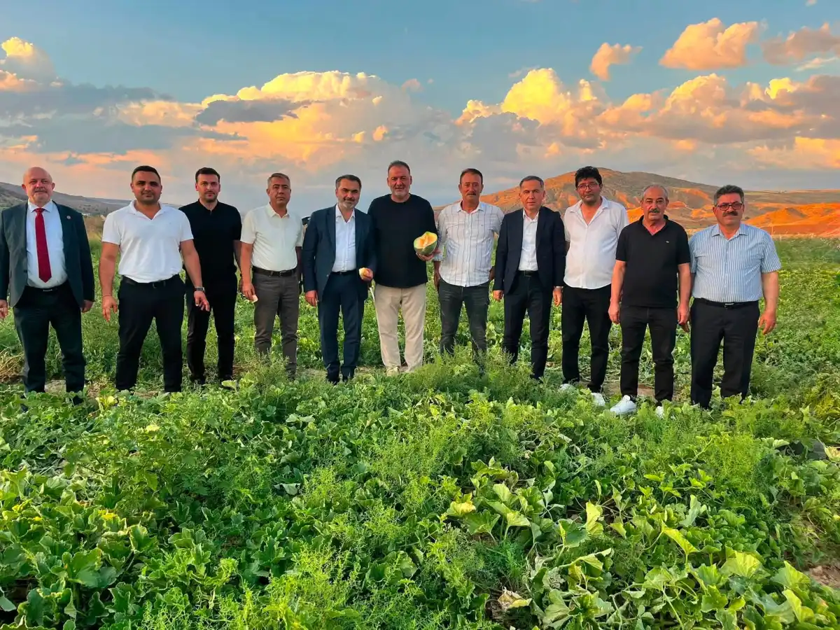 Delice’nin Altın Kavunu Bilimle Buluştu: Yerel Lezzet Geleceğe Taşınıyor