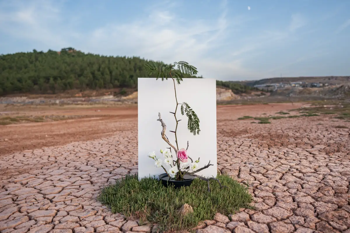 COP31’e Akademik İlgi Büyüyor: Türkiye Üniversitelerinden 3.373 Başvuru