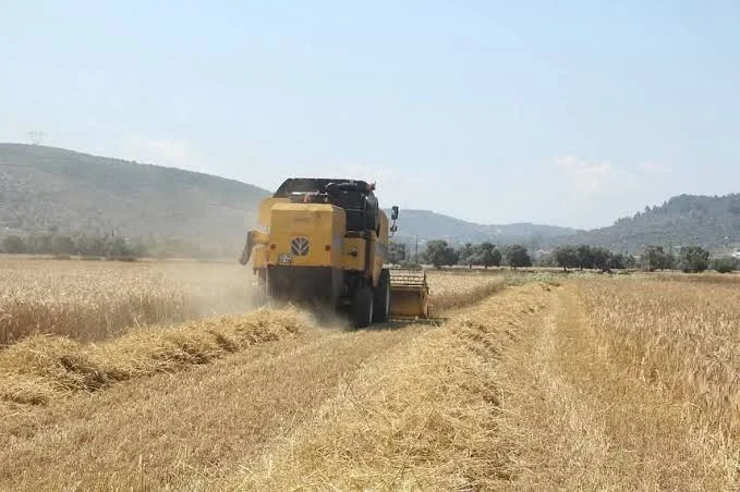 Çiftçilere Müjde: 195 Milyon TL’lik Tarımsal Destek Ödemesi Hesaplara Yatırıldı