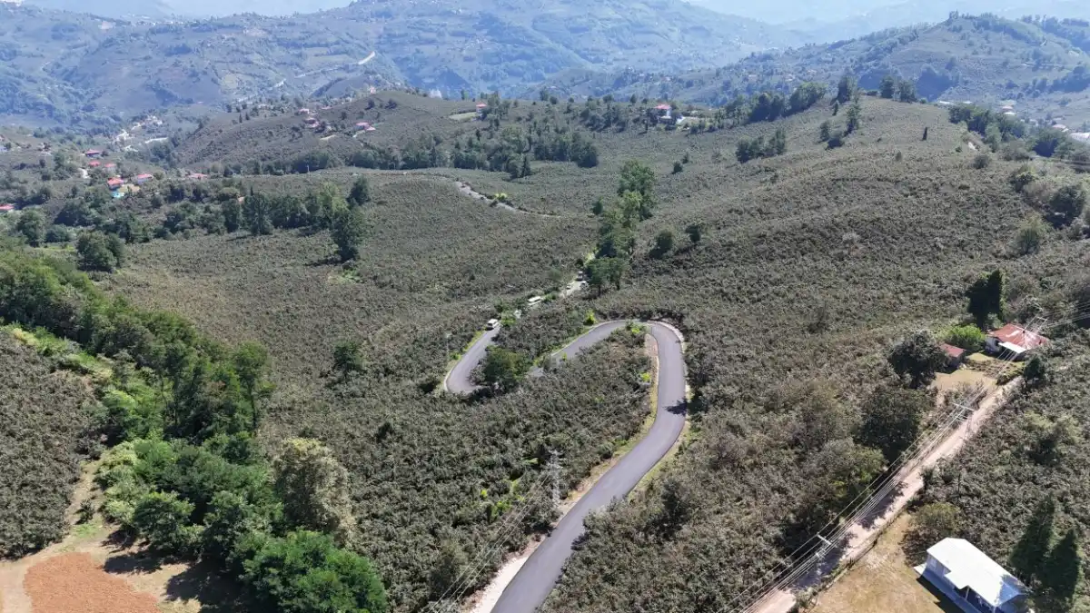 Ordu Ulubey’de Yıllardır Beklenen Hizmet: Şeyhler Mahallesi Sıcak Asfaltla Buluştu