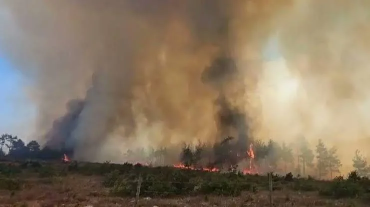 Muğla’da Korkutan Orman Yangını Ula’ya Sıçradı: Ekipler Seferber Oldu