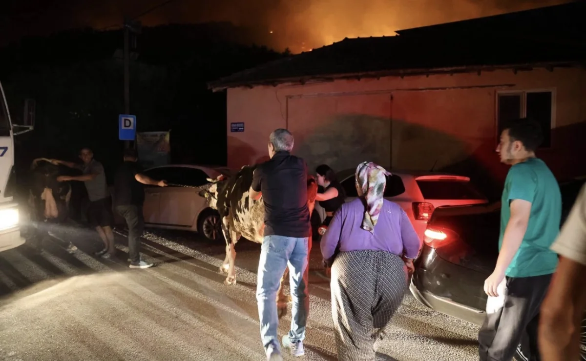 Aksu’da Dev Orman Yangını: Havadan ve Karadan Yoğun Müdahale Devam Ediyor