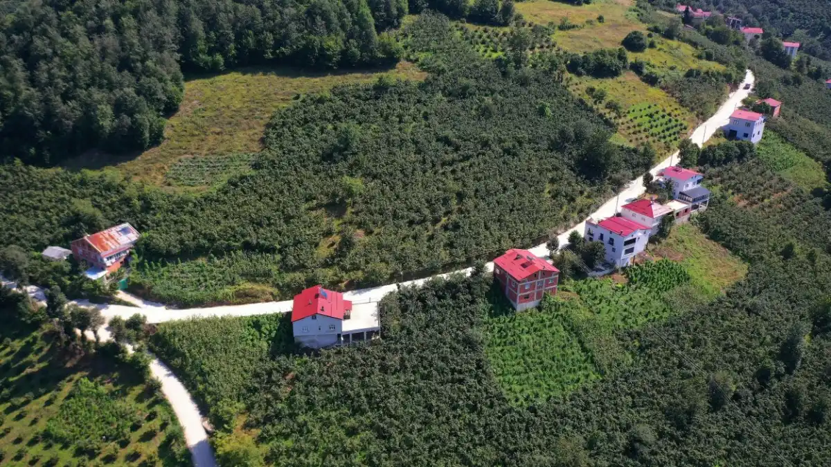 Ordu Kumru’da 35 Yıllık Hayal Gerçekleşti: Beton Yolla Ulaşım Konforu Başladı