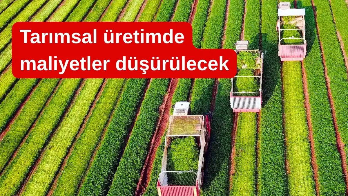 Gıda Fiyatlarında Yeni Dönem: Tarımsal Üretimde Maliyetler Düşürülecek, Arz Güvenliği Güçlendirilecek